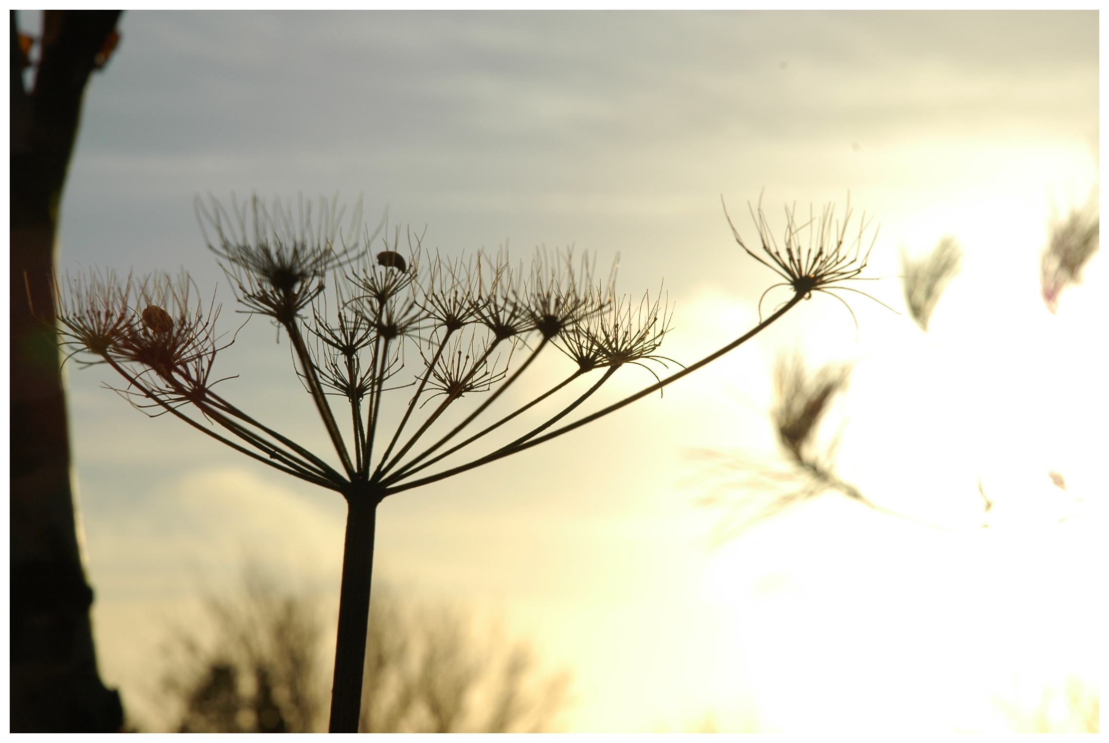 1 Eddy LEPAN Thérapeute Psychocorporel en SOPHROLOGIE EMDR HYPNOSE Ericksonienne Le Sourn Pontivy Morbihan (4)